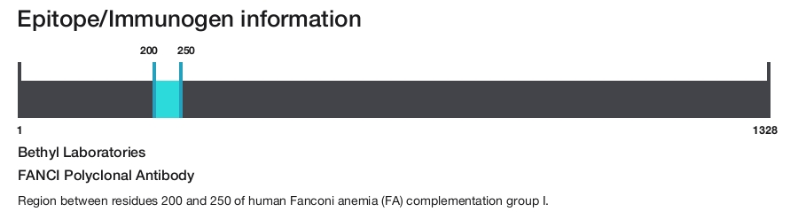 FANCI Polyclonal Antibody