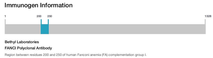 FANCI Polyclonal Antibody