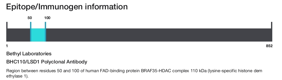 BHC110/LSD1 Polyclonal Antibody