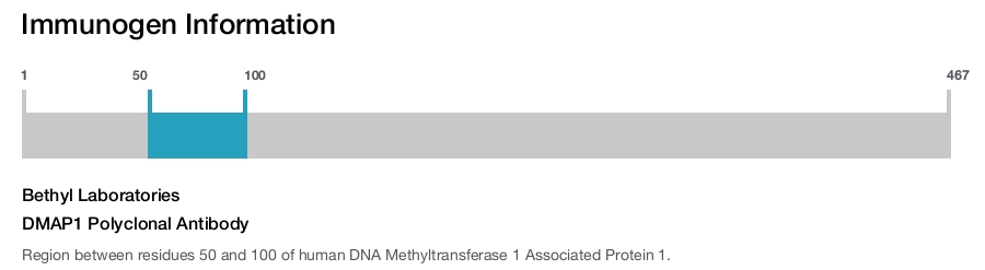 DMAP1 Polyclonal Antibody