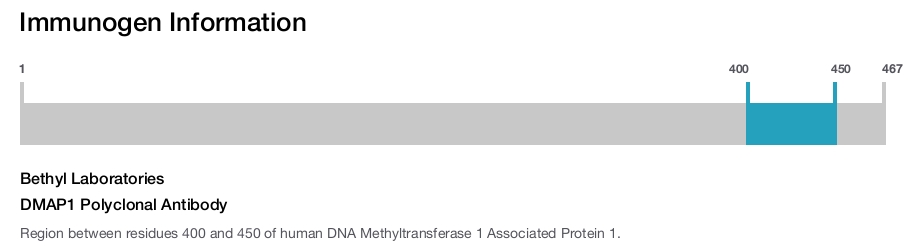 DMAP1 Polyclonal Antibody