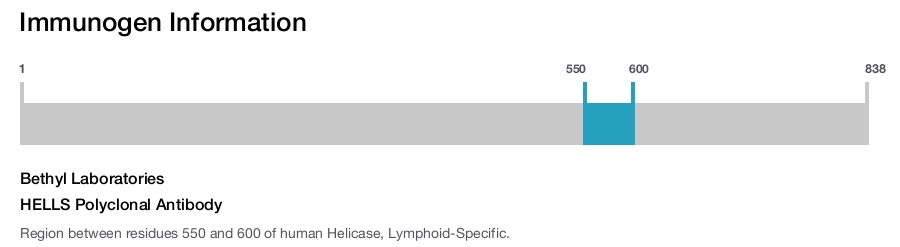 HELLS Polyclonal Antibody