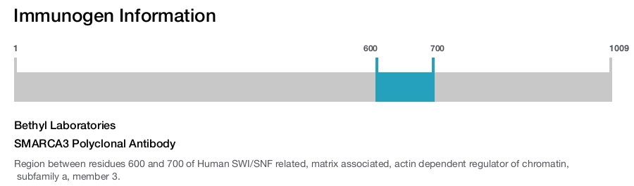 SMARCA3 Polyclonal Antibody