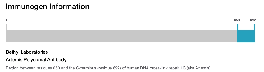 Artemis Polyclonal Antibody