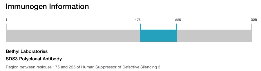 SDS3 Polyclonal Antibody