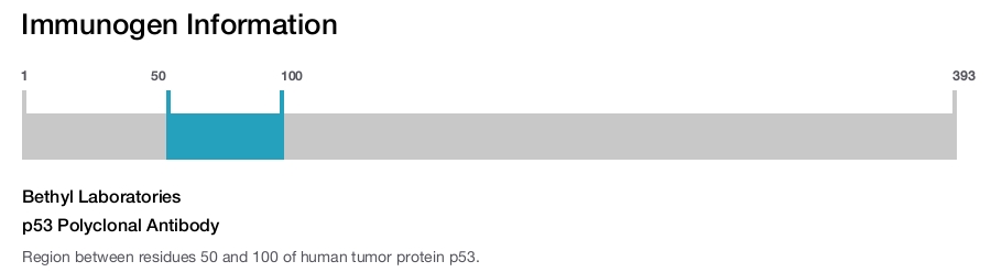 p53 Polyclonal Antibody
