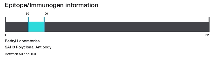 SAH3 Polyclonal Antibody