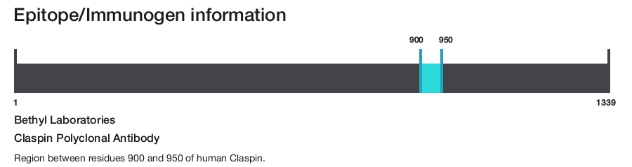 Claspin Polyclonal Antibody