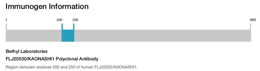 FLJ20530/KAONASHI1 Polyclonal Antibody