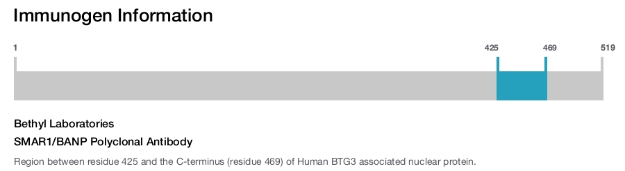SMAR1/BANP Polyclonal Antibody