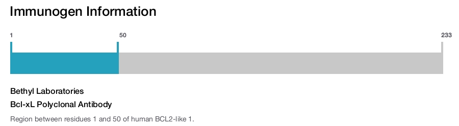 Bcl-xL Polyclonal Antibody