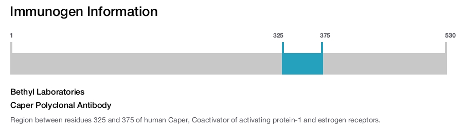 Caper Polyclonal Antibody