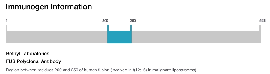 FUS Polyclonal Antibody