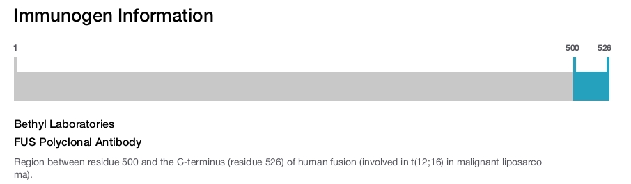 FUS Polyclonal Antibody