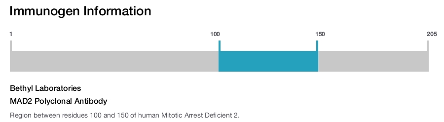 MAD2 Polyclonal Antibody