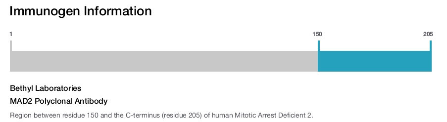 MAD2 Polyclonal Antibody