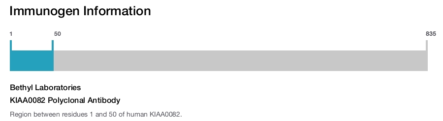 KIAA0082 Polyclonal Antibody