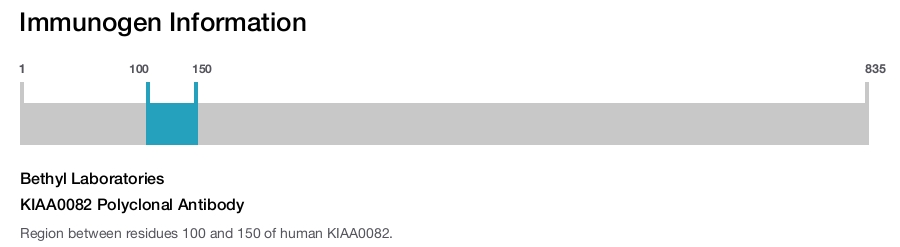 KIAA0082 Polyclonal Antibody