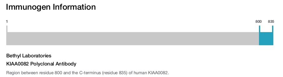 KIAA0082 Polyclonal Antibody