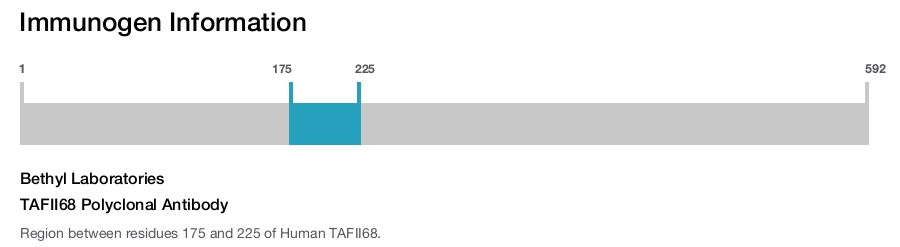 TAFII68 Polyclonal Antibody