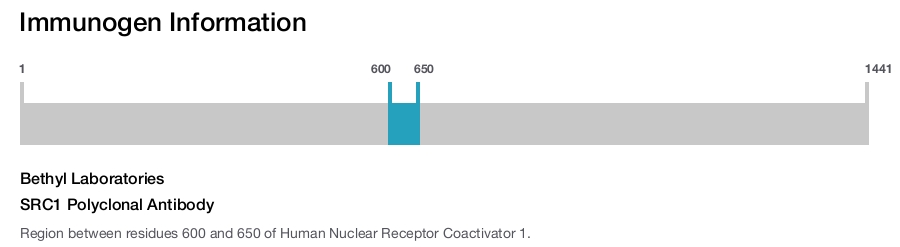 SRC1 Polyclonal Antibody