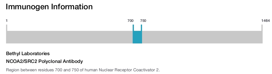 NCOA2/SRC2 Polyclonal Antibody