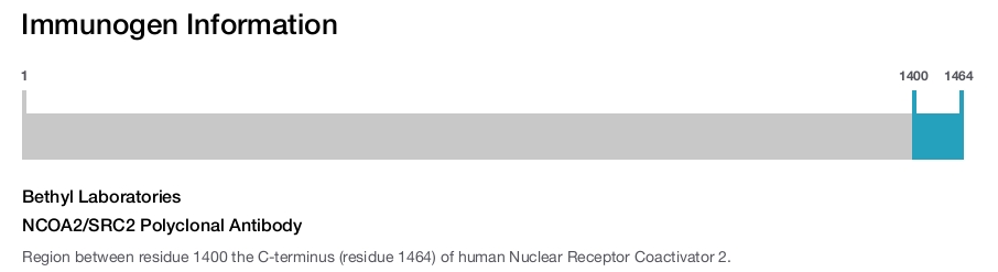NCOA2/SRC2 Polyclonal Antibody