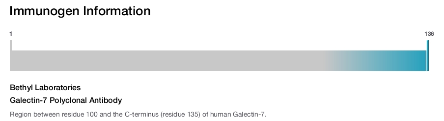 Galectin-7 Polyclonal Antibody