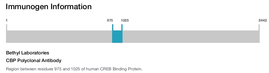 CBP Polyclonal Antibody
