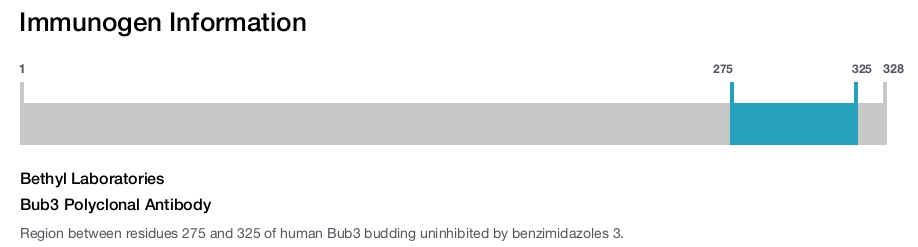 Bub3 Polyclonal Antibody