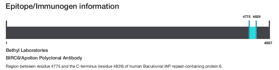 BIRC6/Apollon Polyclonal Antibody