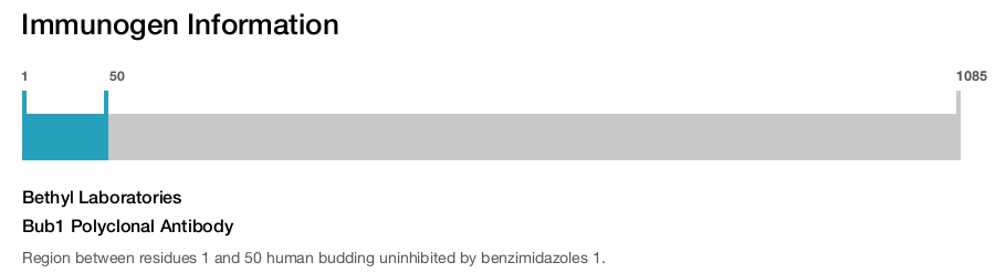 Bub1 Polyclonal Antibody