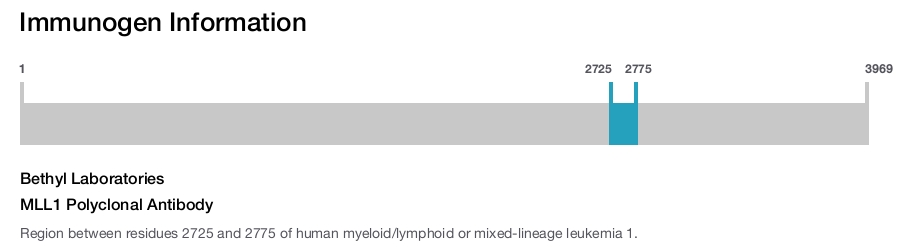 MLL1 Polyclonal Antibody