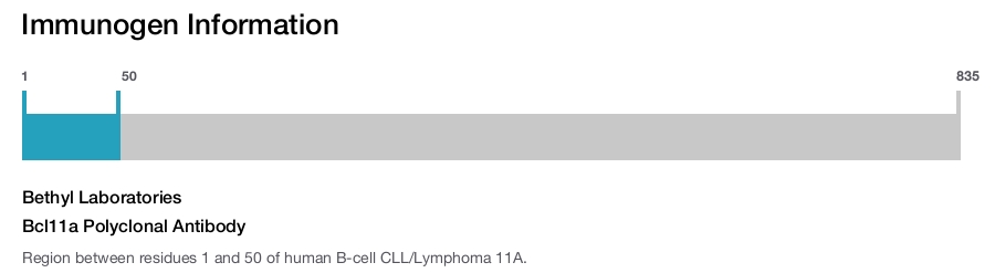 Bcl11a Polyclonal Antibody