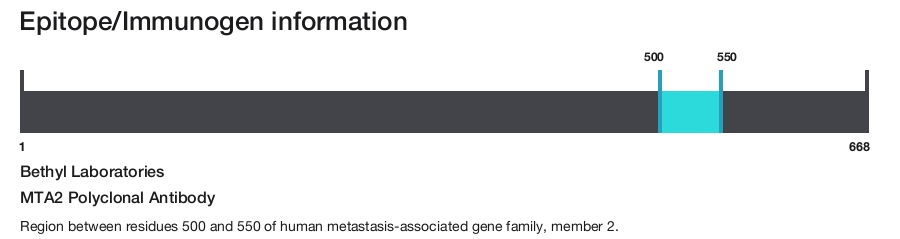 MTA2 Polyclonal Antibody