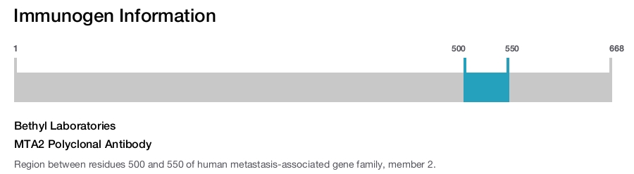 MTA2 Polyclonal Antibody
