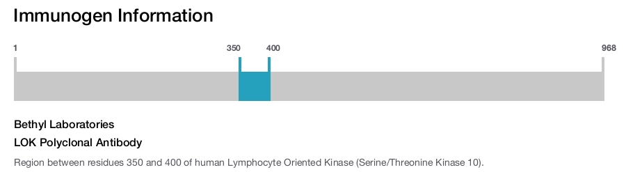 LOK Polyclonal Antibody