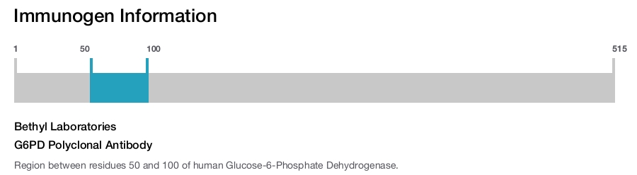 G6PD Polyclonal Antibody