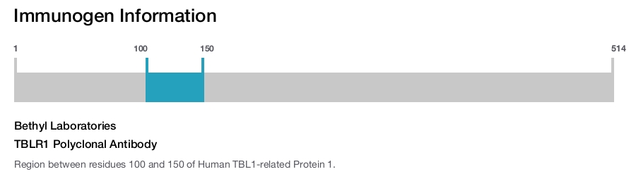 TBLR1 Polyclonal Antibody