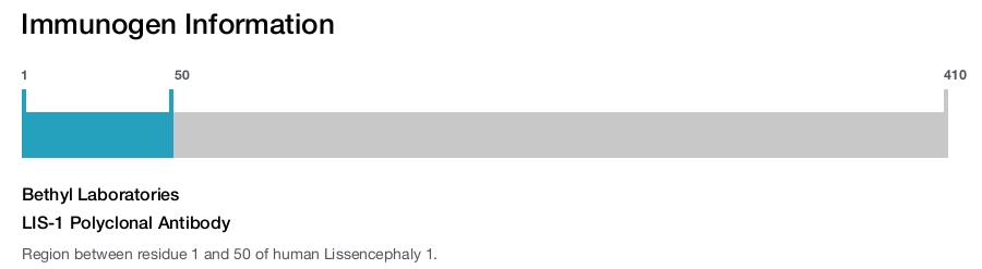 LIS-1 Polyclonal Antibody