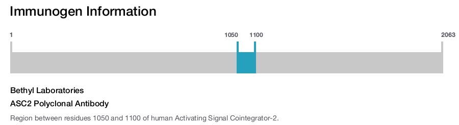 ASC2 Polyclonal Antibody