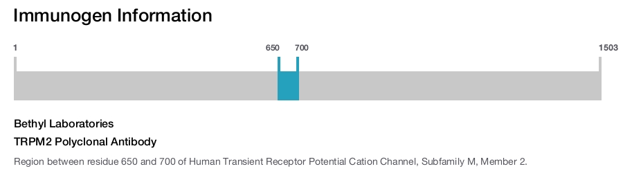 TRPM2 Polyclonal Antibody