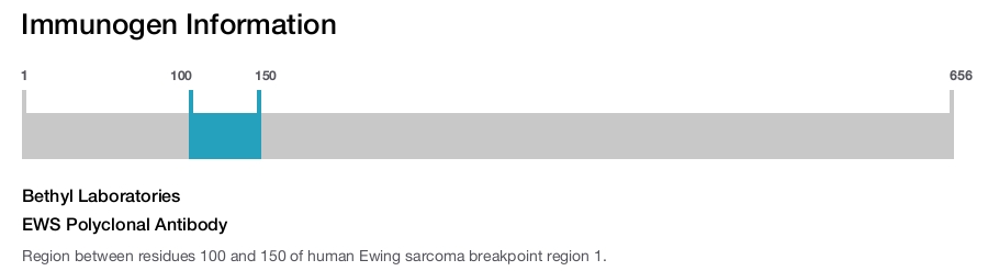 EWS Polyclonal Antibody