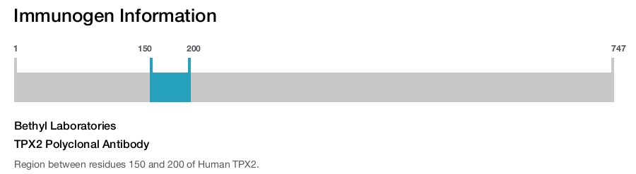 TPX2 Polyclonal Antibody
