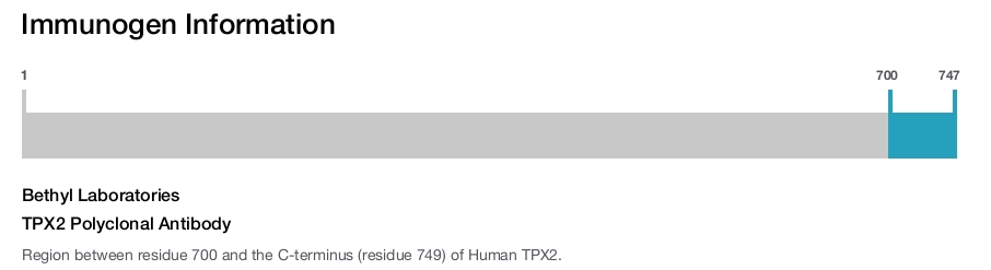 TPX2 Polyclonal Antibody