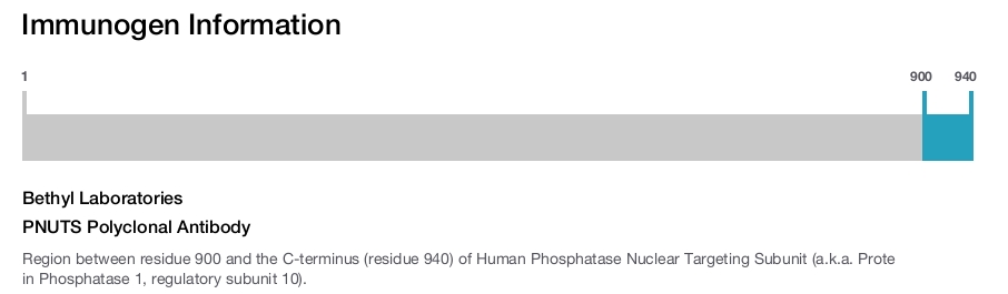 PNUTS Polyclonal Antibody