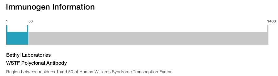 WSTF Polyclonal Antibody