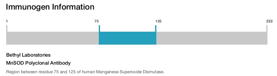 MnSOD Polyclonal Antibody