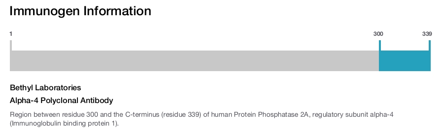 Alpha-4 Polyclonal Antibody