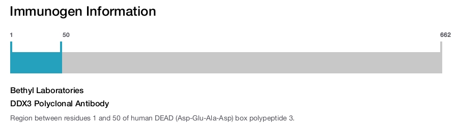 DDX3 Polyclonal Antibody